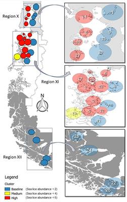 Epidemiological Factors Associated With Caligus rogercresseyi Infection, Abundance, and Spatial Distribution in Southern Chile